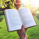Open book held by hand in a bright green garden under sunlight, evoking relaxation and leisure.