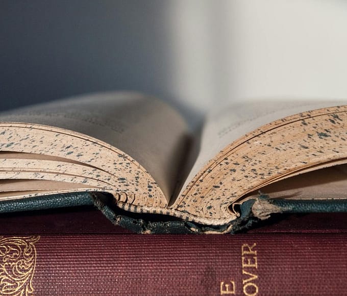 Vintage open book showing worn pages, close-up view. Ideal for literature and education themes.